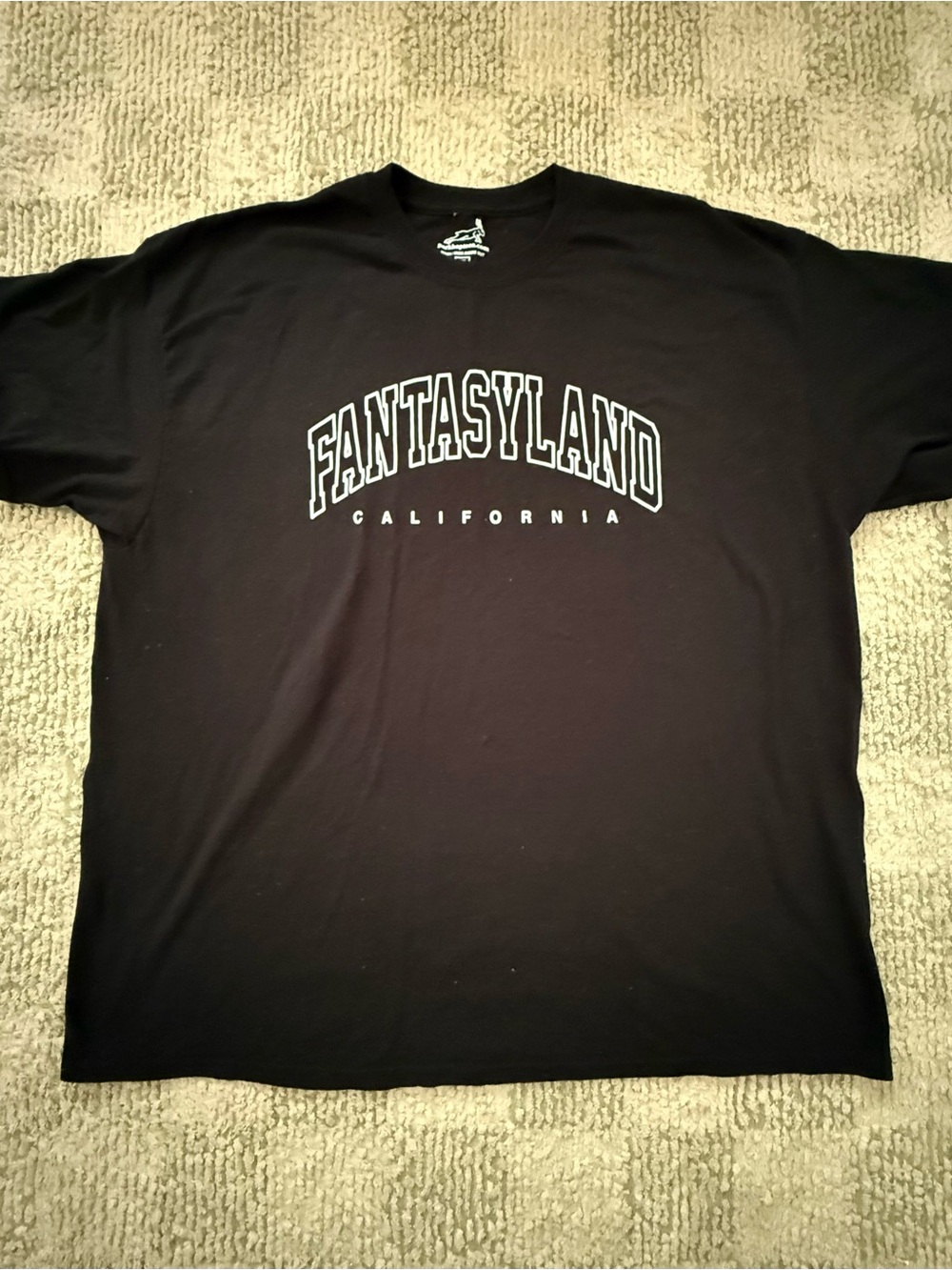 Disney Fantasyland California Black Graphic Tee - Men
